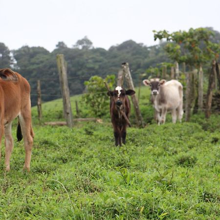 Finca Lindos Ojos Estelí Zewnętrze zdjęcie